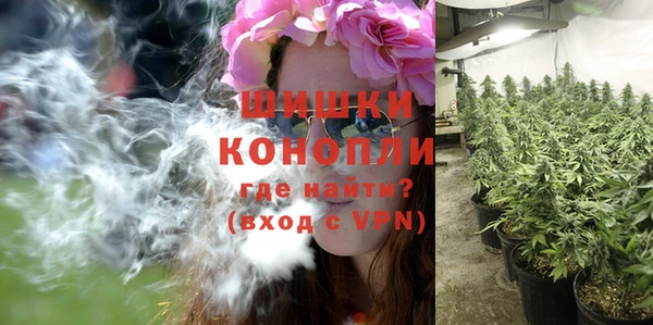 сатива Вязники