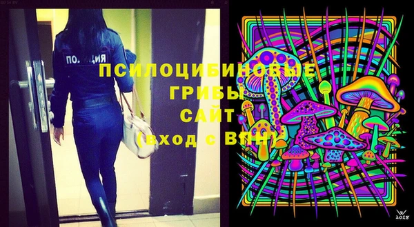 сатива Вязники
