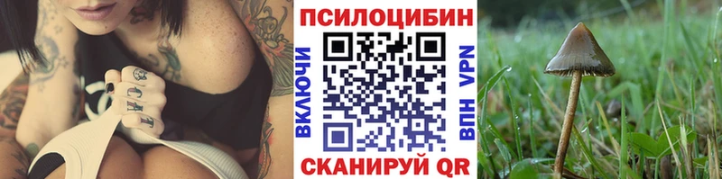 Купить  Бирск  Галлюциногенные грибы GOLDEN TEACHER 